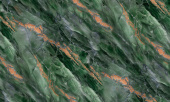 314608 Monstera