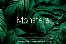 Коллекция Monstera