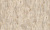 181625 Anise