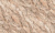 314602 Monstera