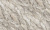 314610 Monstera