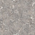 211410 Veronica
