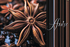 Коллекция Anise