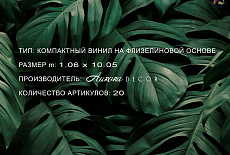 Коллекция Monstera