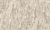 181623 Anise