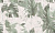 310612 Monstera