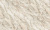 314601 Monstera