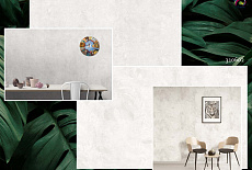 Коллекция Monstera