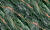 314608 Monstera