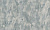 181628 Anise